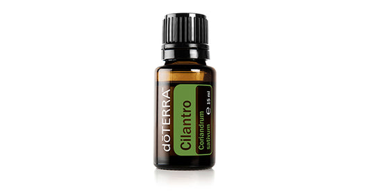 Cilantro (15 mL)